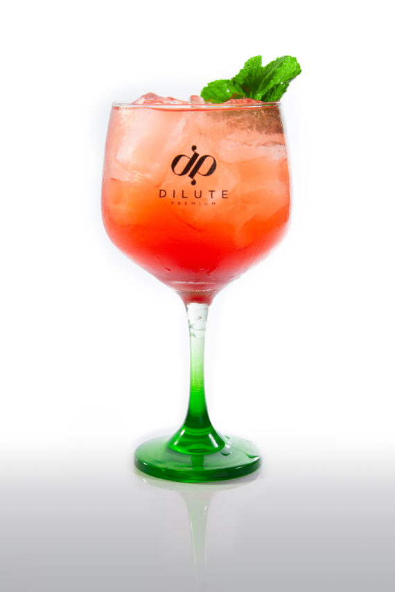 Gin Soda Frutas Vermelhas
