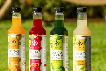 Sobremesas saudáveis com Dilute Zero: confira nossas receitas
