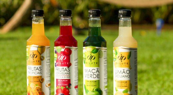 Sobremesas saudáveis com Dilute Zero: confira nossas receitas